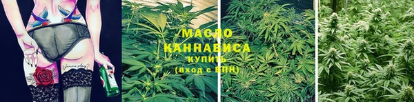 стафф Верхний Тагил