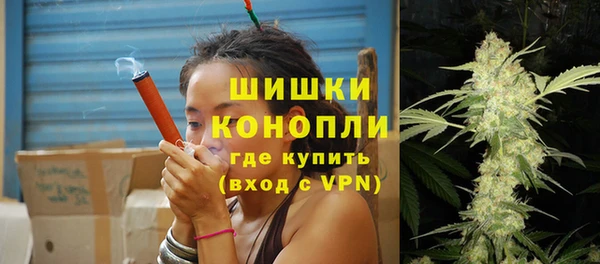 стафф Верхний Тагил